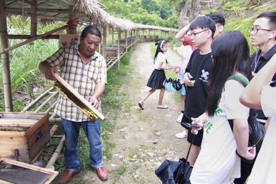 ”善行景宁乡，共圆畲汉梦“百家乐策略
景宁梦之队-实地调研当地养蜂业